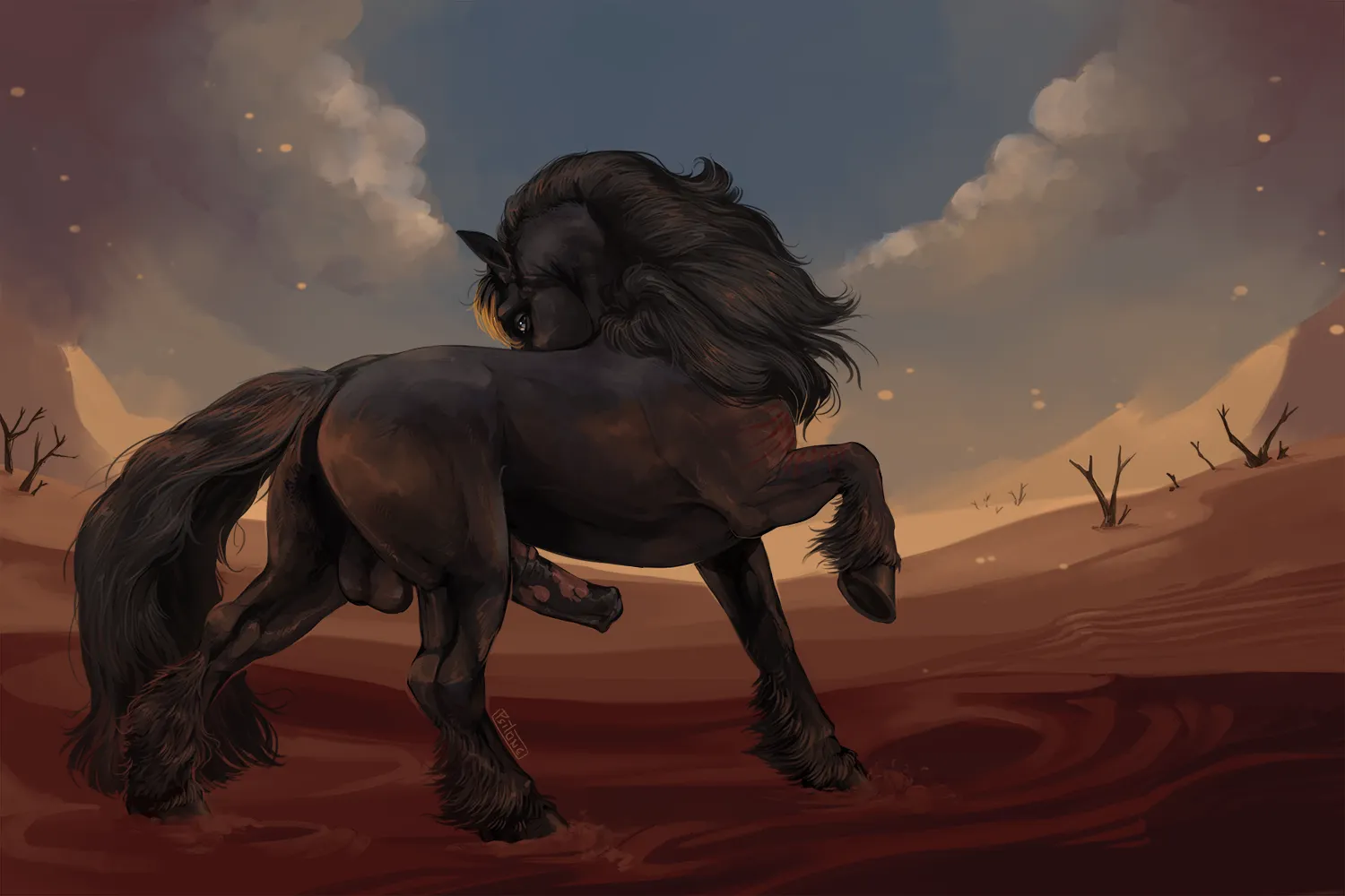 Bucephalus, Stallion of the Namib